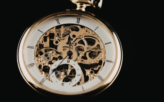Watch Industry