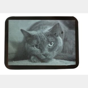 Laser Perforation On Metal Sheet To Create A Gray Scale Image