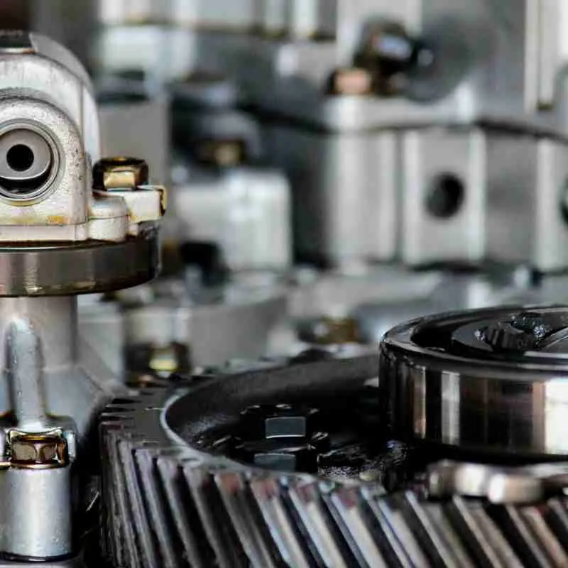 Vitae adipiscing turpis aenea