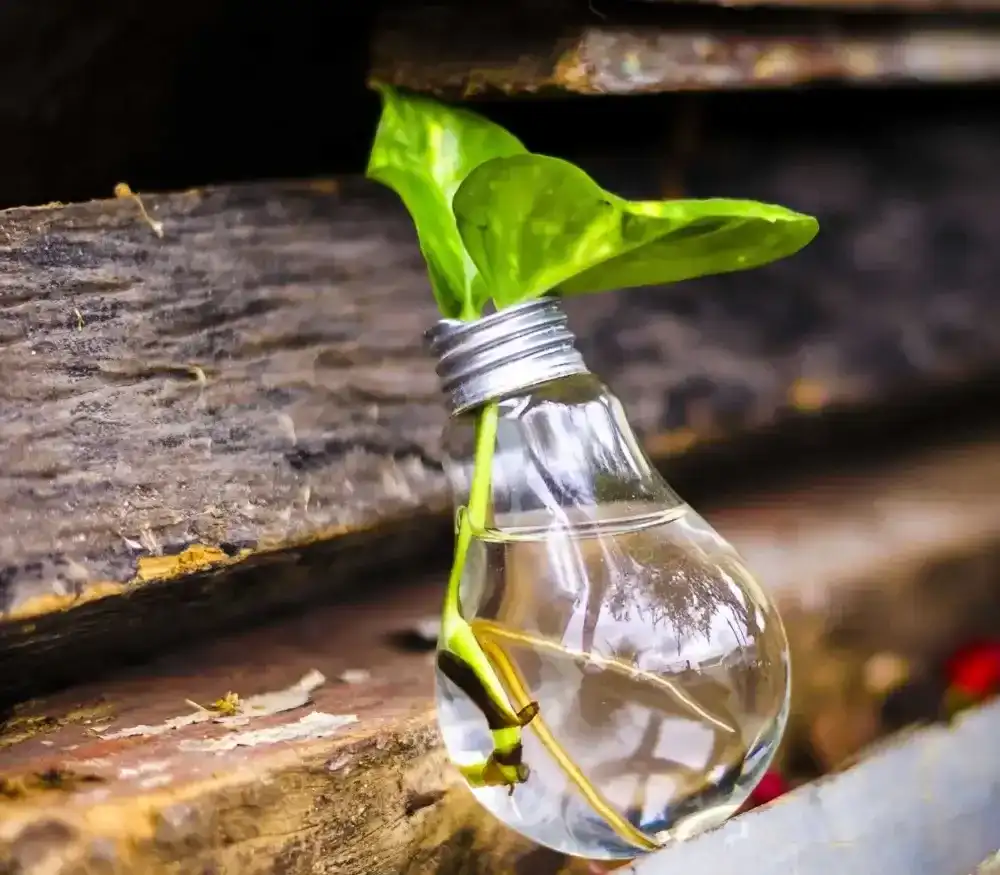 Innovative – Markolaser innovation