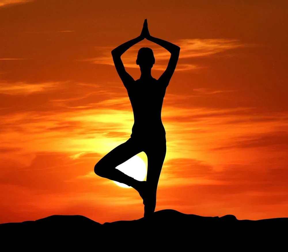 Flexible – Markolaser flexibility